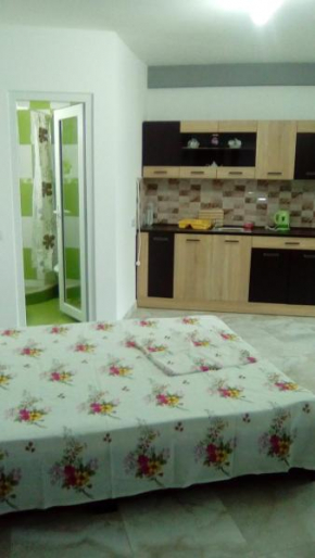  Apartament Daniel  Эфорие Норд